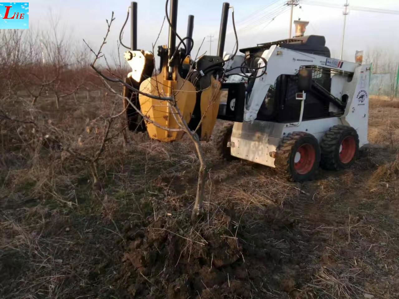 China skid steer tree removal skid steer tree transplanter attachments 5