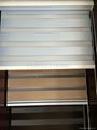 Blackout Zebra Blinds, Vision Blinds 1