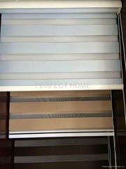 Blackout Zebra Blinds, Vision Blinds