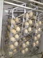 ostrich eggs 5