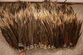 PHEASANT FEATHERS 1