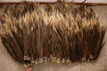 PHEASANT FEATHERS