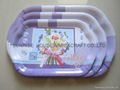 melamine tray 2