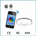 Bluetooth Control LED Ceiling Light 1