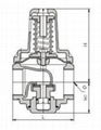 不鏽鋼支管式減壓閥jianyafa 2