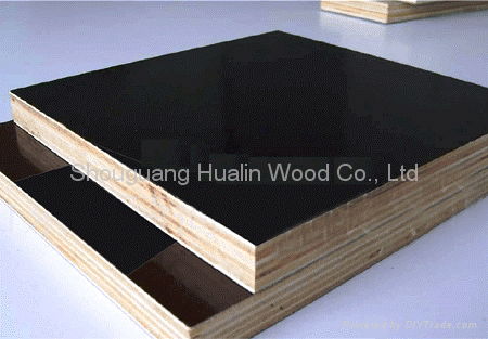 black phenolic film faced plywood 4