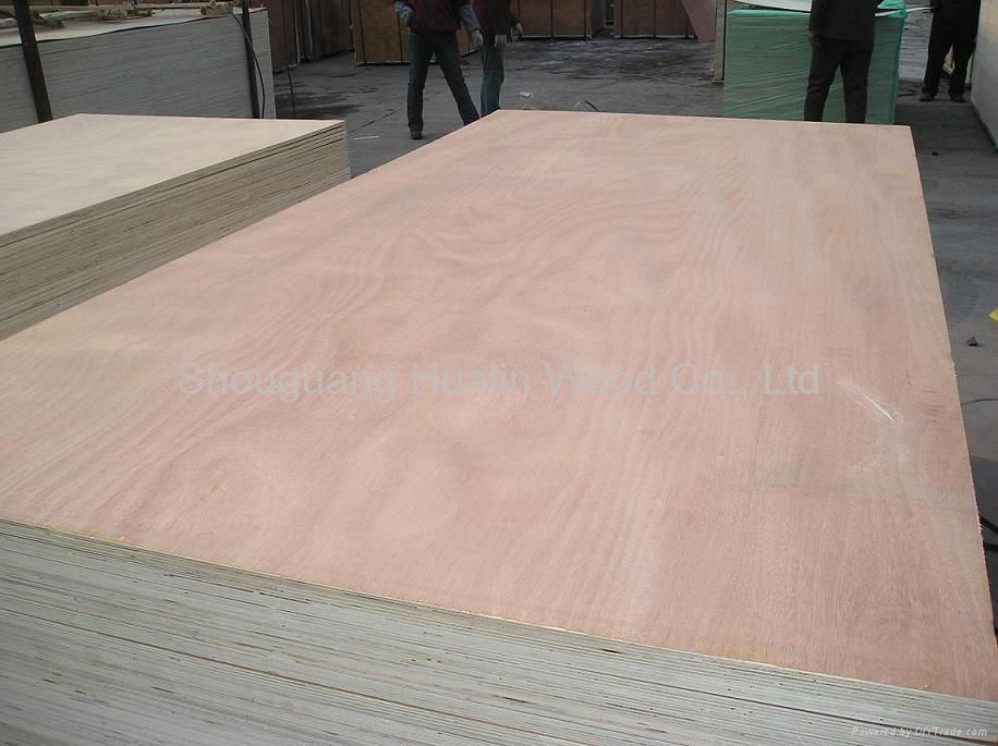 commercial plywood/plywood for interior decoration or furniture 4