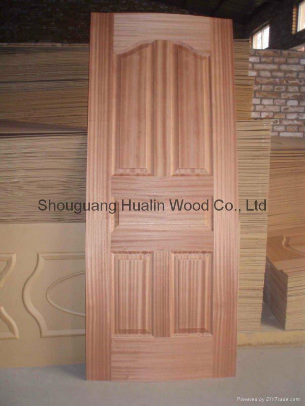 wood panels door skin 2