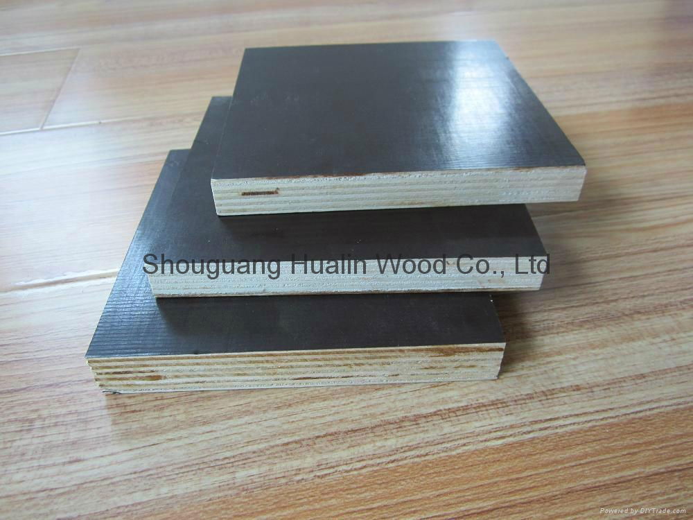 black phenolic film faced plywood