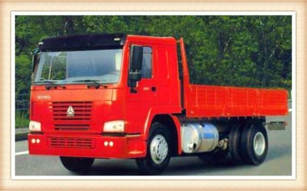 SINOTRUK HOWO 4x2 Cargo Truck for sale 2