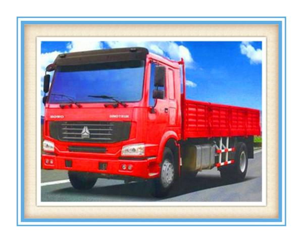 SINOTRUK HOWO 4x2 Cargo Truck for sale 4