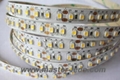 120leds SMD3528 Fexible Strip Light