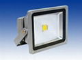 30W LED Flood Light 1