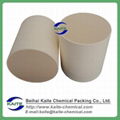 Diesel Particulate Filter 2