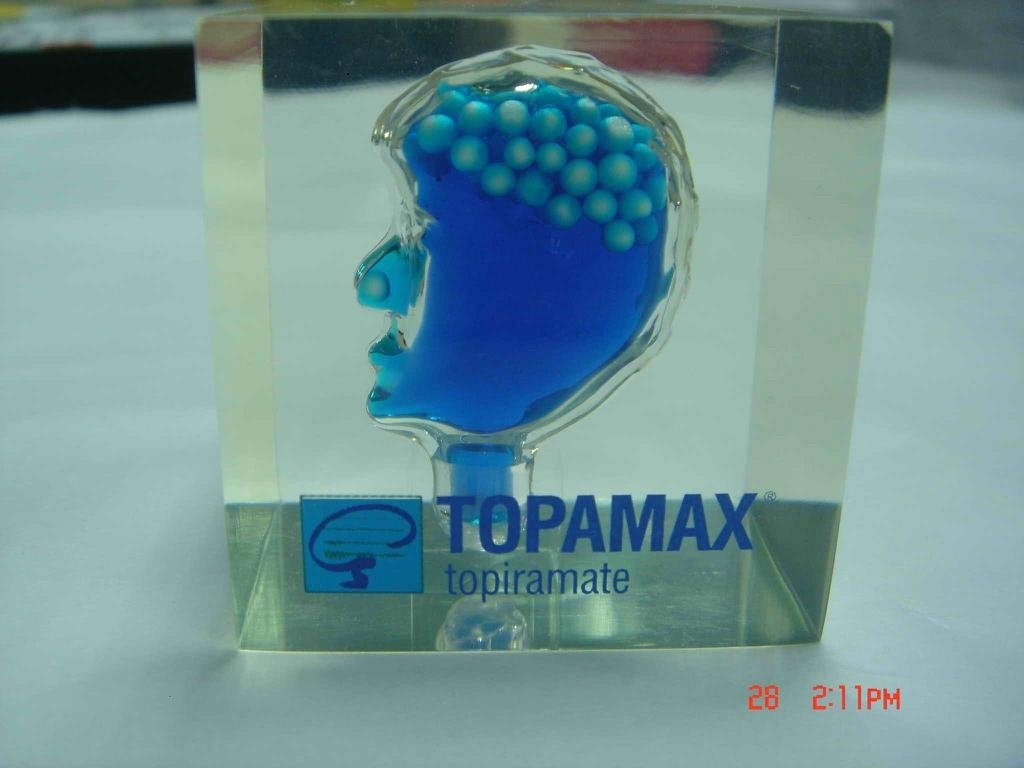 acrylic fluid paperweight in brain shape and stomach 4