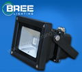 LED Flood light-RGB Series BREE10W-120W 1