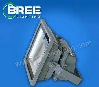 LED明纬泛光灯BREE10W-120W 2