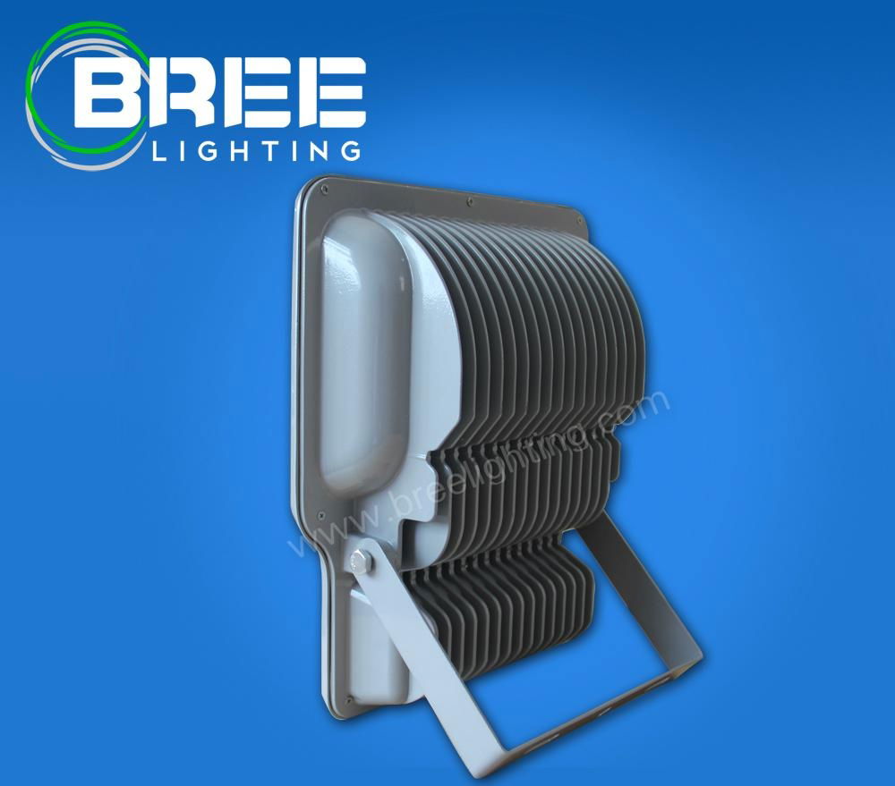 LED明纬泛光灯BREE10W-120W 5