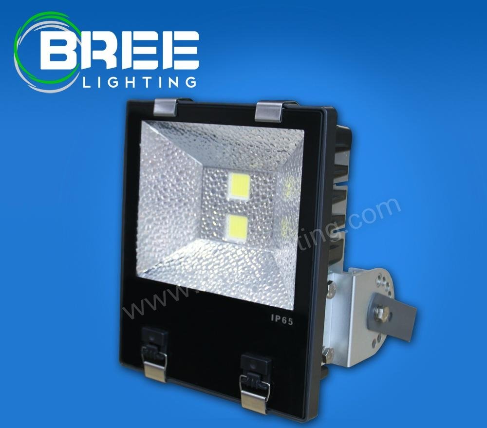 LED Flood light-Meanwell Series BREE140W-250W