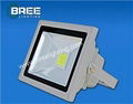 LED简版泛光灯BREE10W-120W 2