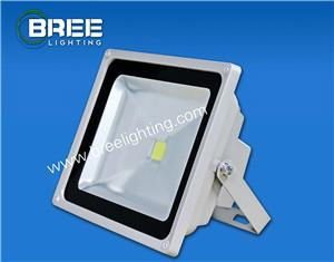 floodlight led outdoor BREE10W-120W 4