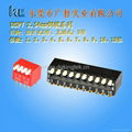 Piano type dip Switch  1p-12p KINGTEK CO.,LTD