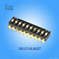 KE TaiWan DIP switch DSIC10LHGET  2