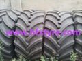 540/65r34 Radialagricultural Tyre/Tire 3