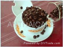 Roasted coffee bean in Vietnam