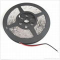 5050 warm white nonwater proof led strip 1