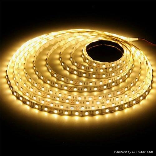 5050 warm white nonwater proof led strip 2