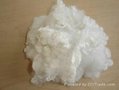 PSF 15d*51mm  HCS hollow conjugatd  white fiber   from China  3