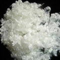 recycled PSF 15d*32mm HCS manufactures  China  4