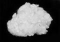 PSF 15d*51mm  HCS hollow conjugatd  white fiber   from China 