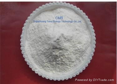 Carboxymethyl starch sodium ( CMS )