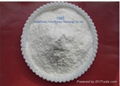 Carboxymethyl starch sodium ( CMS )