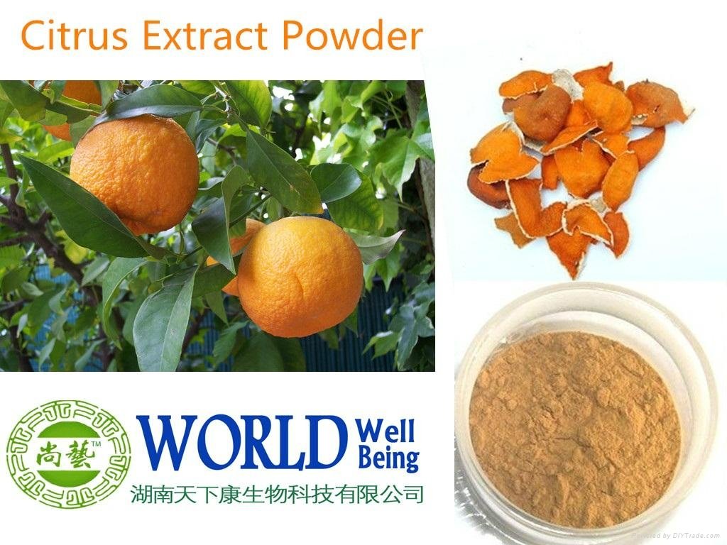 High Quality Citrus Aurantium Extract Powder 