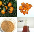 High Quality Citrus Aurantium Extract Powder  4