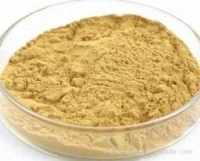 Ginseng Root Extract Powder With UV 4%-80% Ginsenoside 3