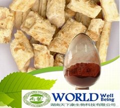 Natural Tongkat Ali Root Extract Powder
