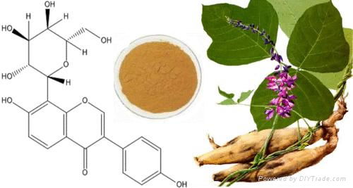 Natural Tongkat Ali Root Extract Powder 3