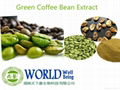 High Quality Green Coffee Bean Extract Powder With Chlorogenic Aicd 1