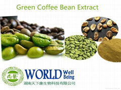 High Quality Green Coffee Bean Extract Powder With Chlorogenic Aicd