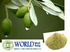 Natural Olive Leaf Extract Powder With Oleuropein