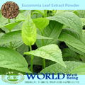 Factory 100% Natural Eucommia Leaf