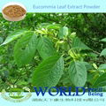 Factory 100% Natural Eucommia Leaf