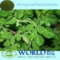 Factory Supply 100% Natural Moringa Oleifera Leaf Extract Powder 1