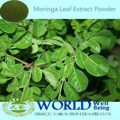 Factory Supply 100% Natural Moringa Oleifera Leaf Extract Powder