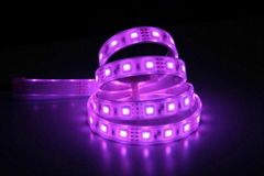 5050 RGB Non waterproof 60LED Per Meter  Uses 3-chips 5050 RGB SMD LEDs LED dime