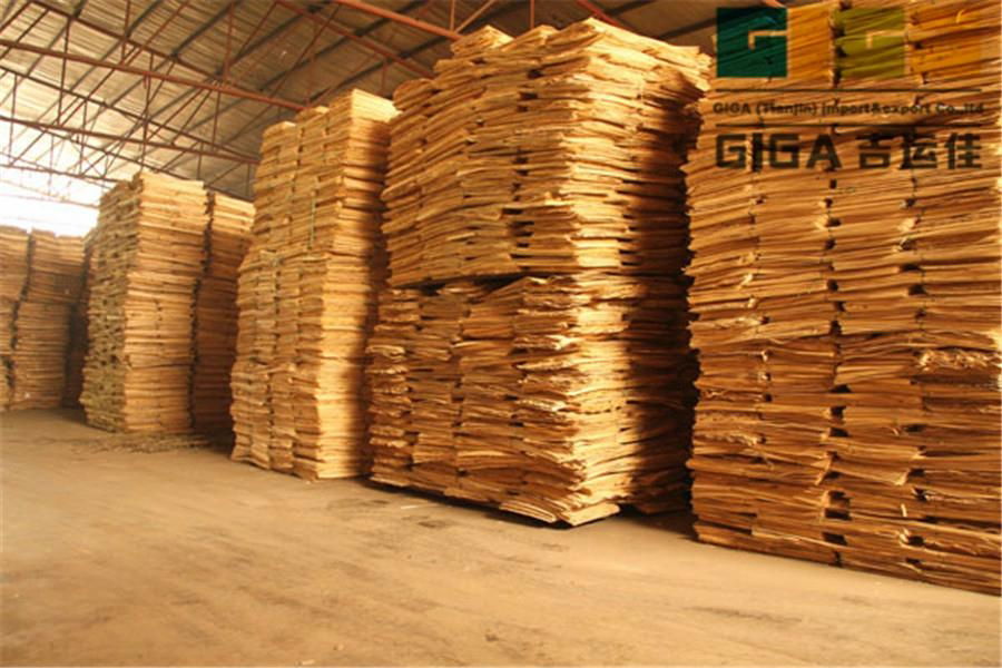 waterproof plywood price poplar construction plywood 5